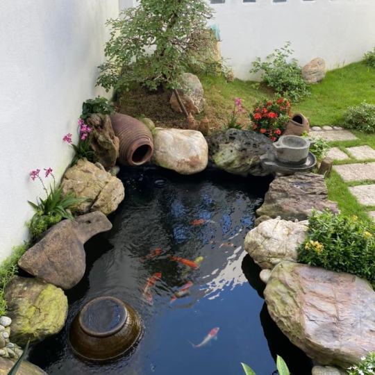 NHÀ ANH BẢO - 99B/11 Lê Lợi, phường 2, tp. Tuy Hoà, tỉnh Phú Yên