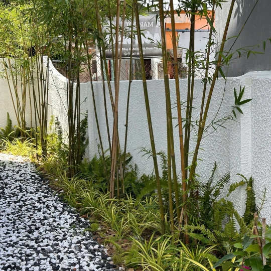 CÔNG TRÌNH SEA CUB HOMESTAY - CÙ LAO MÁI NHÀ - XÃ Ô LOAN - ĐẮK LẮK